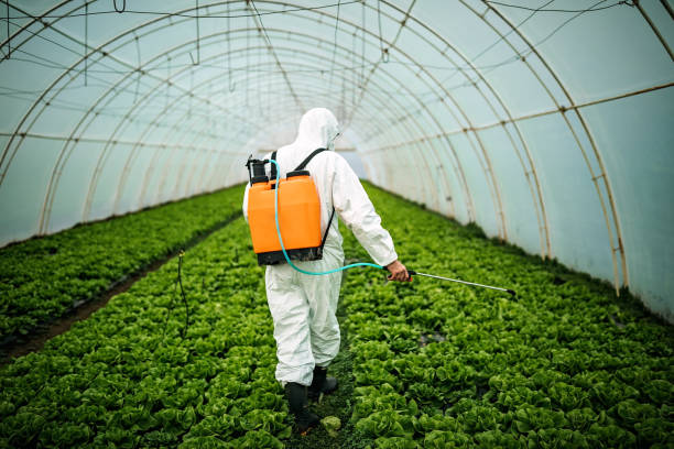 Best Commercial Pest Control Services  in Massapequa Park, NY