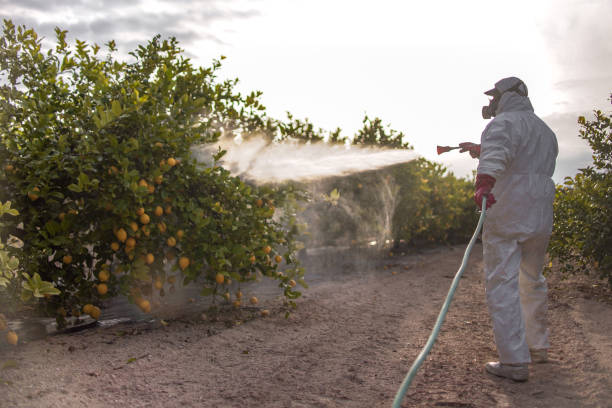 Best Pest Removal Services  in Massapequa Park, NY