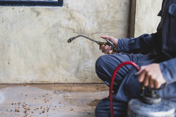 Best Local Pest Control Services  in Massapequa Park, NY